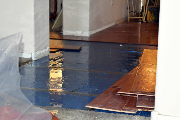 Professional Flood Damage Restoration technician working in Tecate, CA